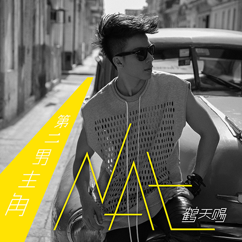 AlbumArt